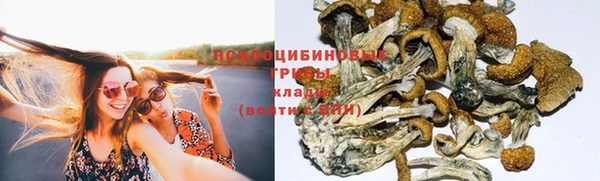 дживик Армянск