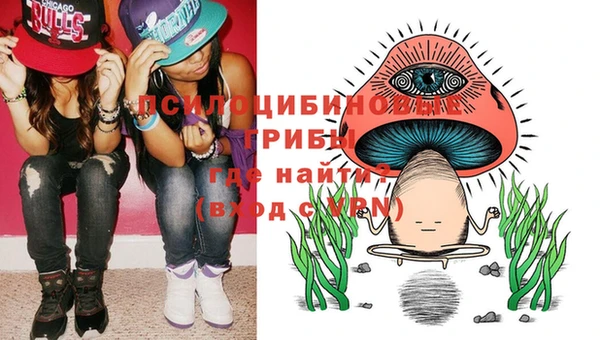 сатива Алзамай
